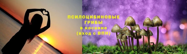 гашиш Новодвинск