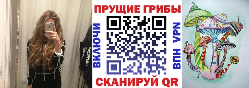 Псилоцибиновые грибы ЛСД  omg ONION  Кологрив  цены  